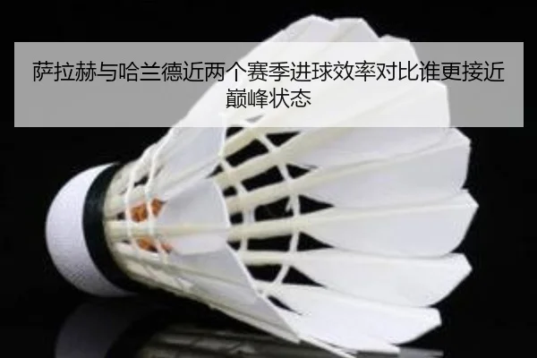 萨拉赫与哈兰德近两个赛季进球效率对比谁更接近巅峰状态